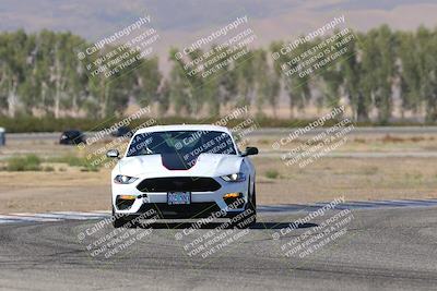 media/Oct-04-2025-OnGrid (Sat) [[44bd565ffa]]/Purple Group/Sunrise/